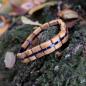 Preview: HOLZKERN Armband Fantasia Olivenholz Blau