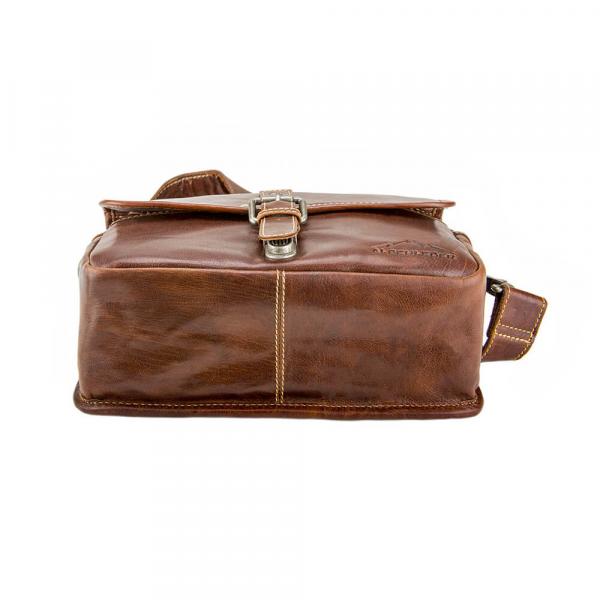 ALPENLEDER | Camera Case PRESSE (brandy)