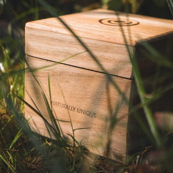 HOLZKERN | Collectors Box Catalpa (1)